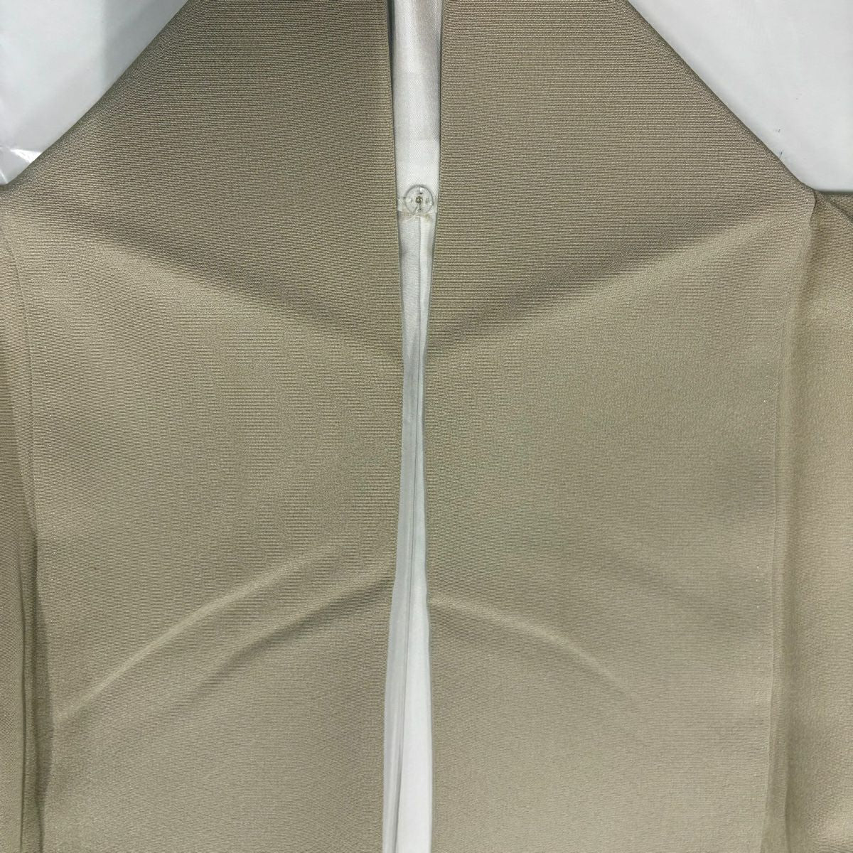 色留袖禮服 身長168.5cm 袖長68cm L 雙層 落款あり 枝花 水邊的風景 漸層 米色 純蠶絲 優品級 一つ紋