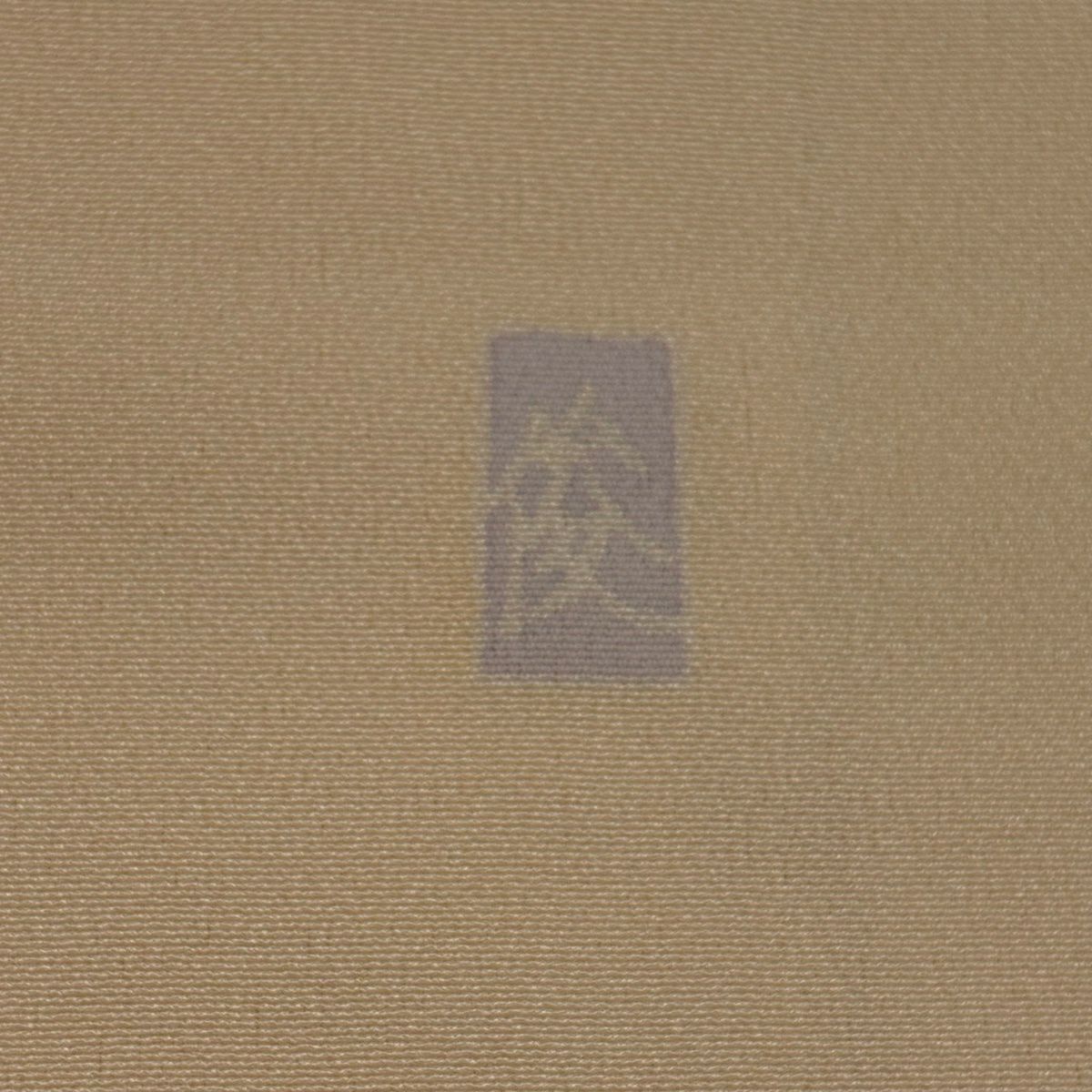 訪問服 身長159.5cm 袖長65cm M 雙層 落款 草花紋紋 花丸文 金銀彩 染分 乳白色 純蠶絲 名品級