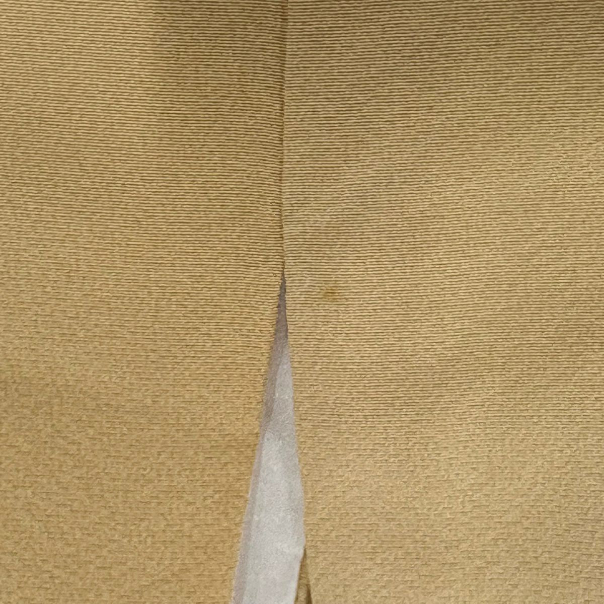 訪問服 身長163.5cm 袖長65.5cm M 雙層 檜扇子 牡丹 漸層 薄橙 純蠶絲 優品級