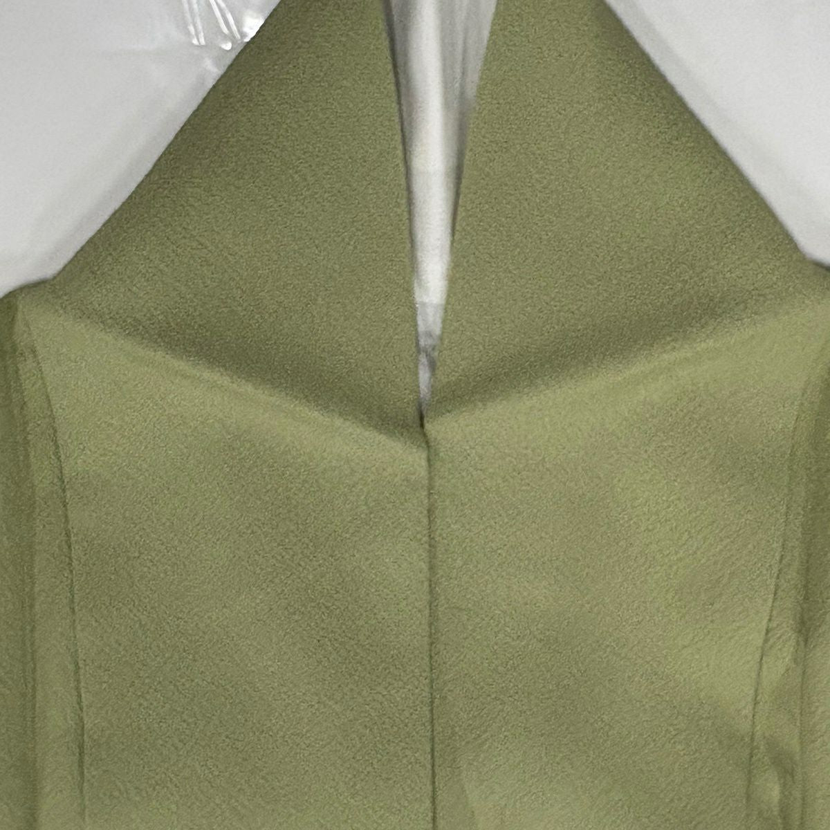 色留袖禮服 身長152.5cm 袖長62.5cm S 雙層 梶山伸 落款あり 椿 ヱ霞 漸層 抹茶 純蠶絲 名品級