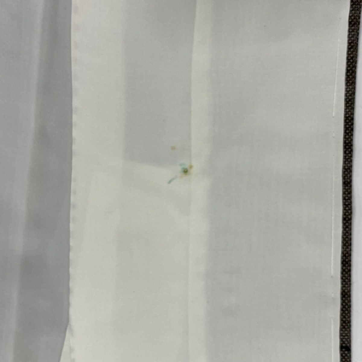 【庫存清倉】 紬織織 身長159cm 袖長64cm M 雙層 唐草紋 焦茶 純蠶絲 優品級