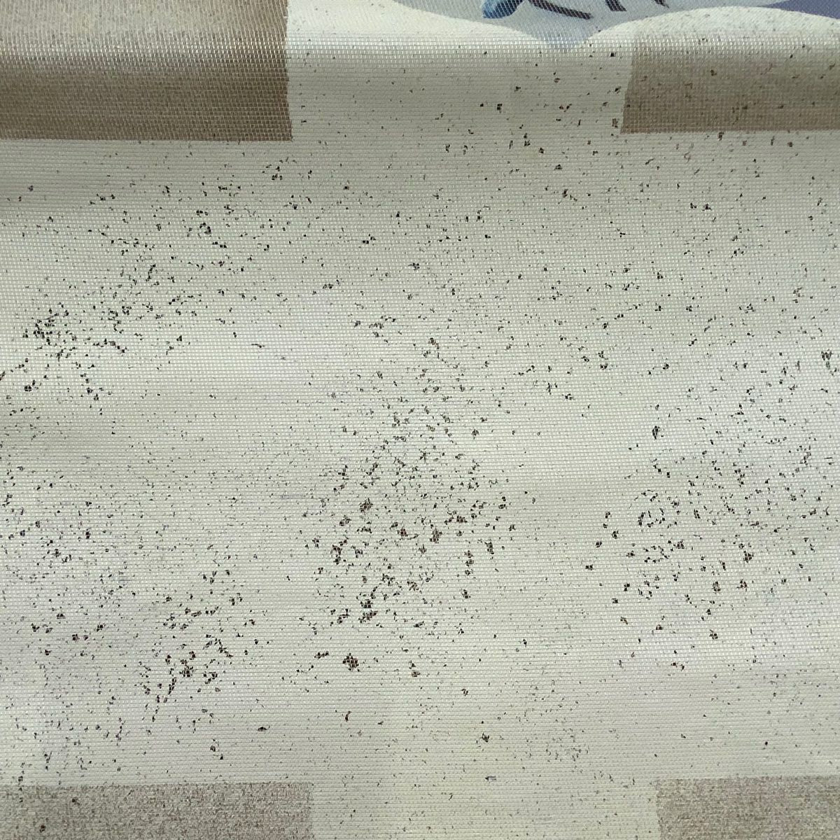 【庫存清倉】 開口名古屋帶 優品級 扇子面 草花紋紋 金銀彩 奶油色 純蠶絲