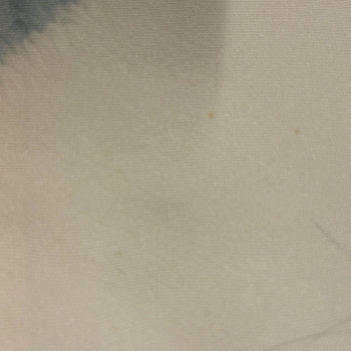 【庫存清倉】訪問服 身長160.5cm 袖長61.5cm S 雙層 滝泰 有落款 草花紋紋 霞 絞染 分染 米色 純蠶絲 名品級