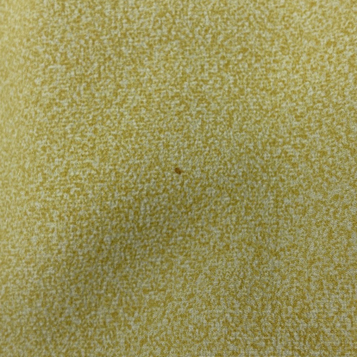 【庫存清倉】訪問服 身長168.5cm 袖長64cm M 雙層 落款 菊花 草花紋 金絲 金銀彩 淺綠 純蠶絲 名品級