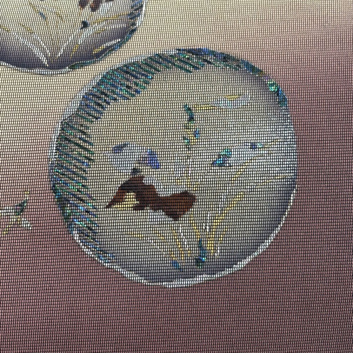 袋帶 美品 秀品級 草花紋紋 螺鈿 金金箔 小豆 深藍色 お太鼓圖案 純蠶絲