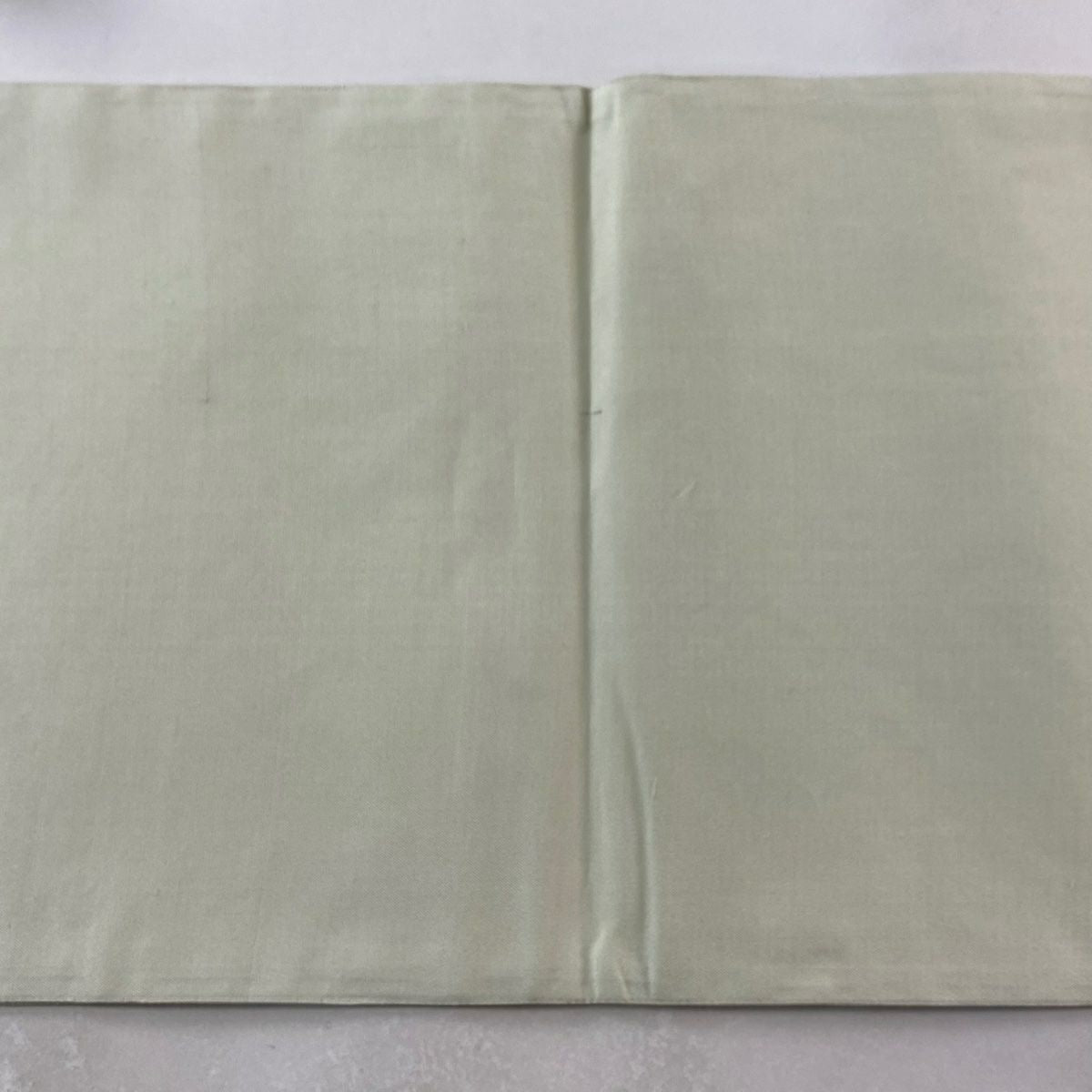 【美品】 袋帶 逸品級 斜格子 草花紋紋 相良刺繡 淺綠色 お太鼓圖案 純蠶絲