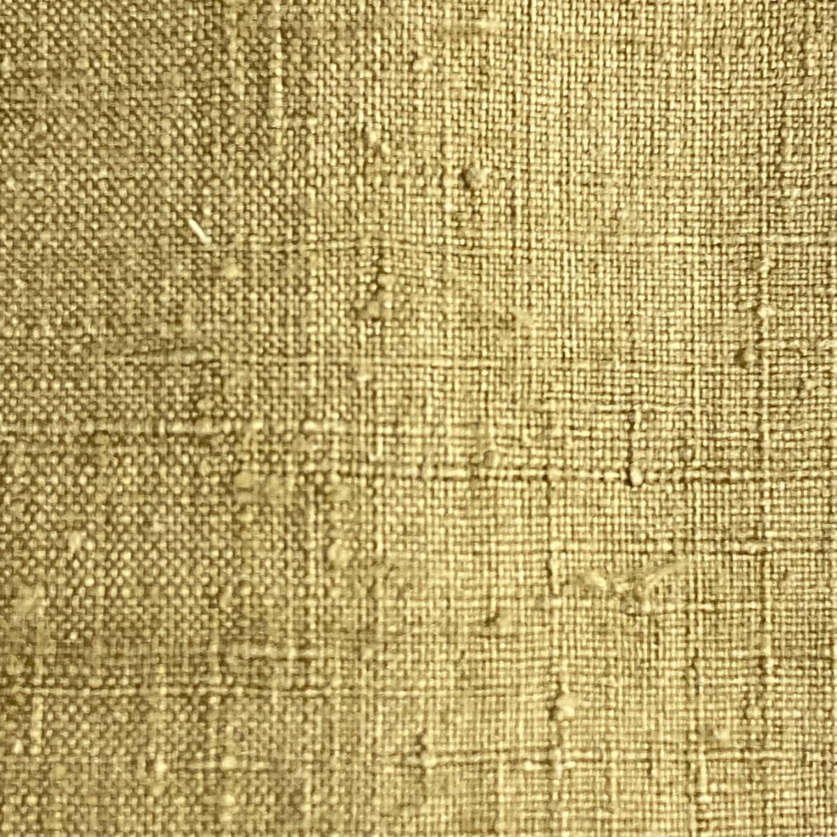 【美品】結城紬織 身長158cm 袖長61cm S 雙層 株式会社小倉商店 本場結城紬織 證書附帶 薄茶 純蠶絲 逸品級