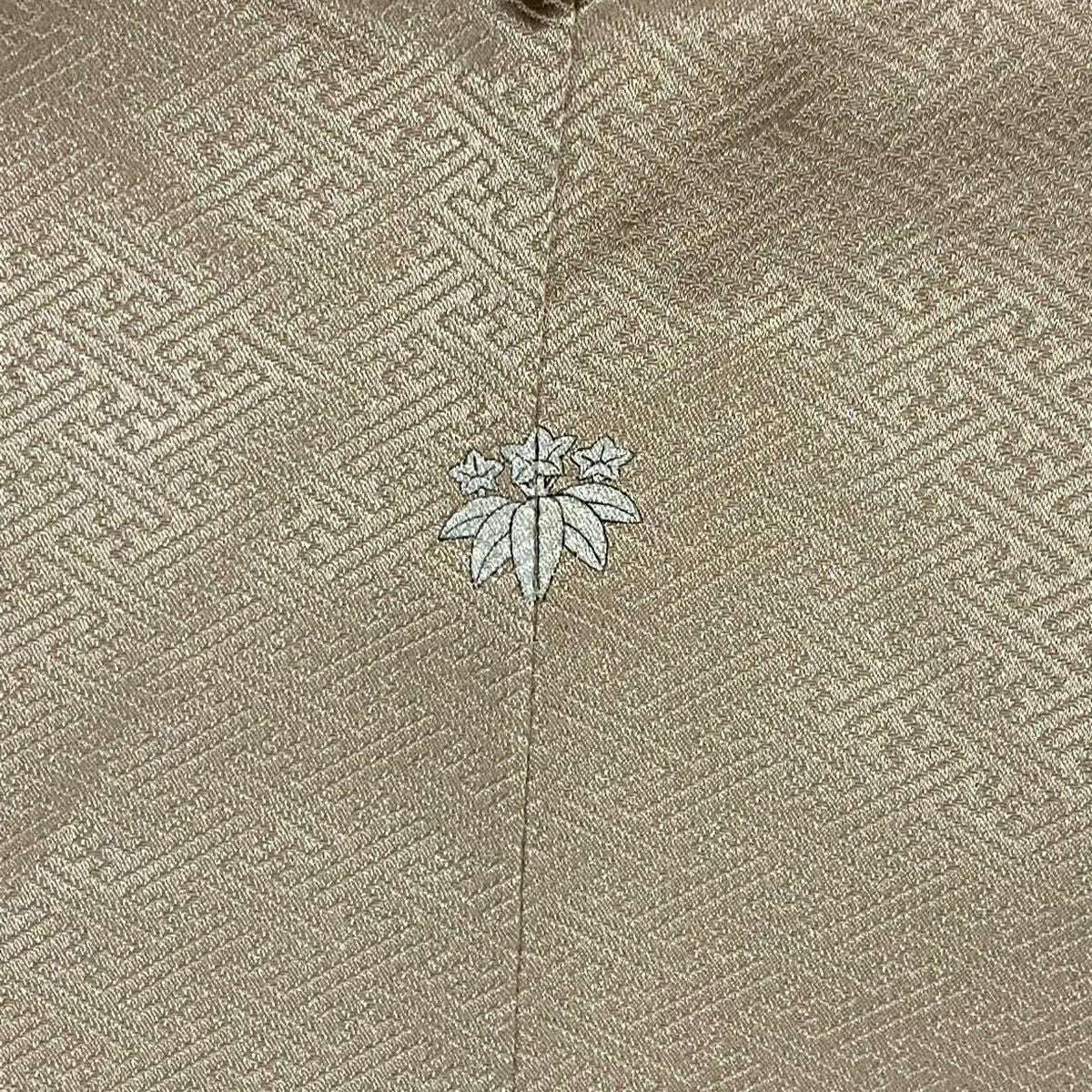 【美品】 色留袖禮服 身長154.5cm 袖長61cm S 雙層 葡萄唐草紋 幾何學圖案 金銀彩 漸層 米色 純蠶絲 秀品級 五個紋