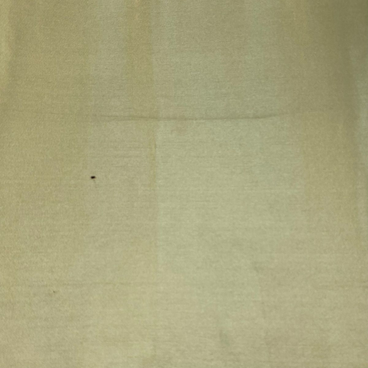 【美品】 袋帶 秀品級 落款あり 本家加納 華紋 鳥 金金箔 茶綠 六通 純蠶絲