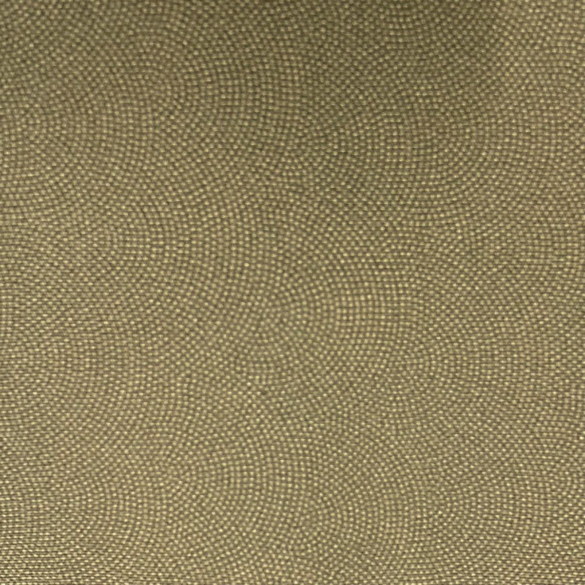 【美品】 江戶小紋 身長156.5cm 袖長62.5cm S 雙層 落款あり 鮫 茶綠 純蠶絲 名品級