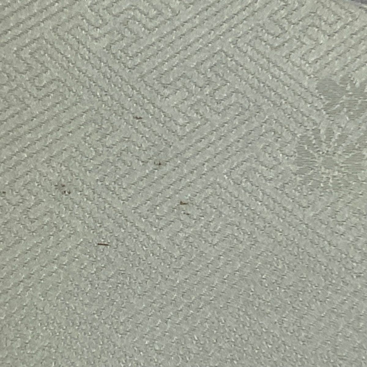 色留袖禮服 身長166.5cm 袖長64cm M 雙層 家屋 草花紋紋 金糸刺繡 薄綠 純蠶絲 秀品級 一つ紋