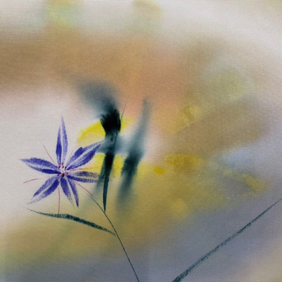 【美品】 名古屋帶 秀品級 落款 草花紋紋 漸層 薄黃土色 純蠶絲