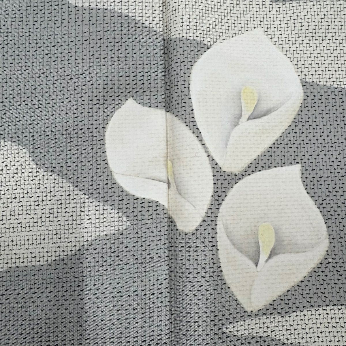 【美品】訪問服 身長155cm 袖長62.5cm S 雙層 紬織織 落款あり 水芭蕉 輪廓紋 灰白 純蠶絲 秀品級