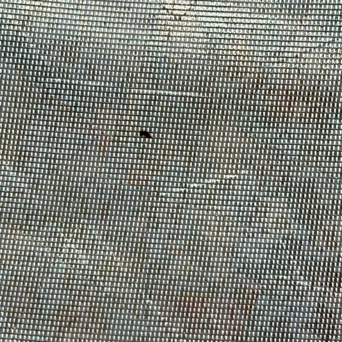 【美品】 袋帶 秀品級 關西仕立 松樹 霞 螺鈿金金箔 金金箔 灰綠 お太鼓圖案 純蠶絲
