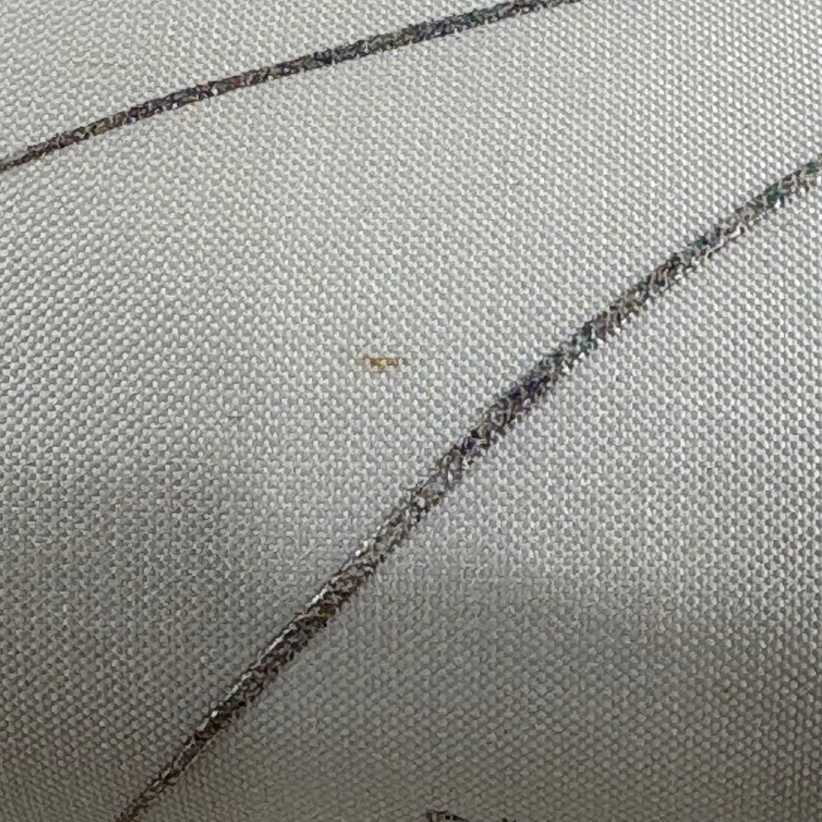 袋帶 秀品級 秋草 雲紋 螺鈿 金銀彩 奶油色 大鼓圖案 純蠶絲