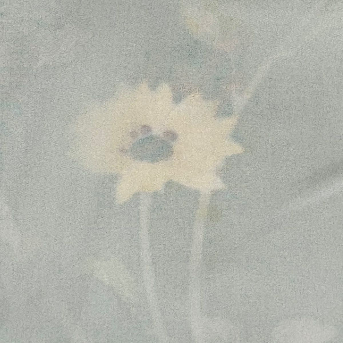 訪問服 身長155cm 袖長64cm M 雙層 落款 菊花 枝梅花 染分 ぼかし 淺綠 純蠶絲 名品級
