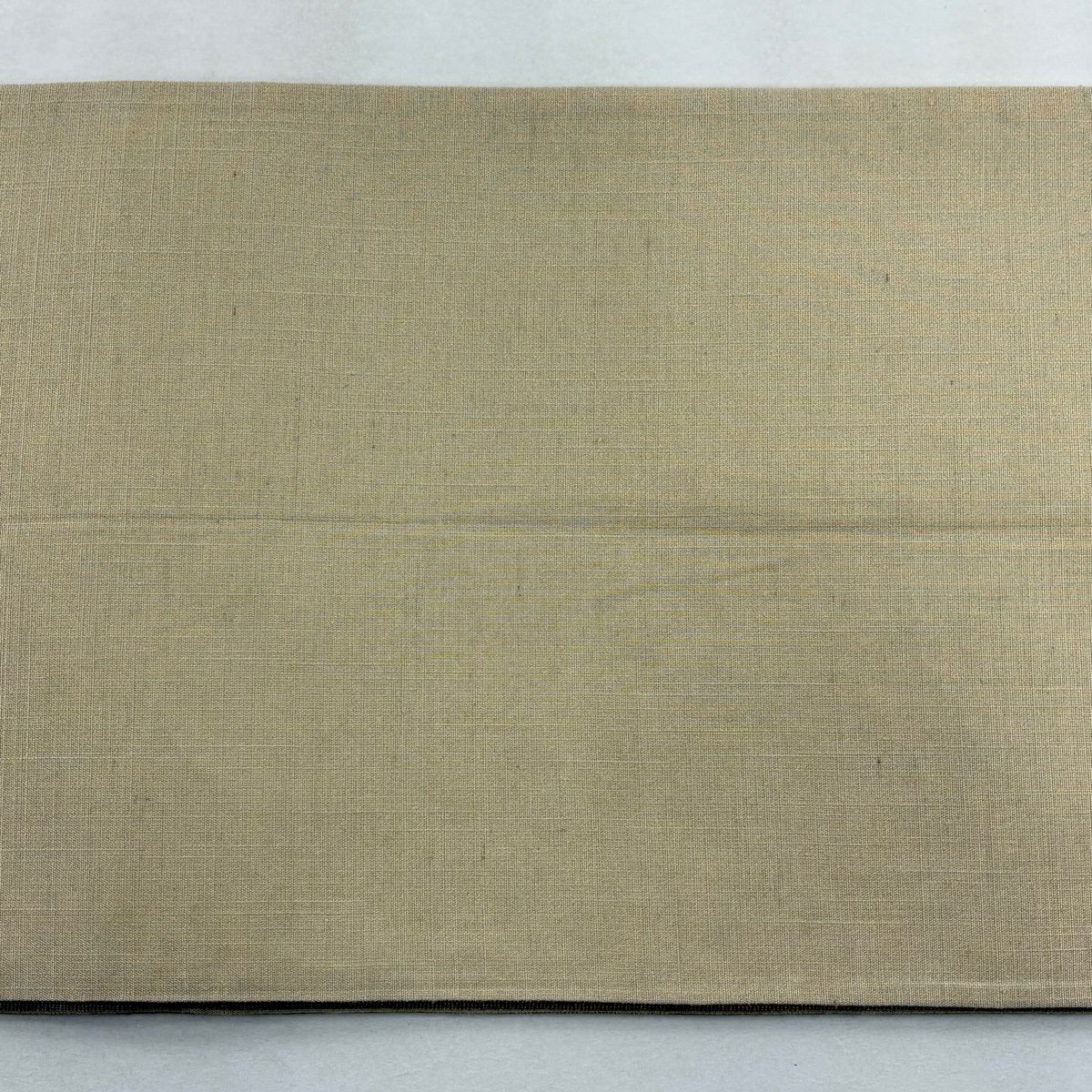 【美品】 袋帶 逸品級 幾何圖案 金絲 淺茶 細帶圖案 純蠶絲