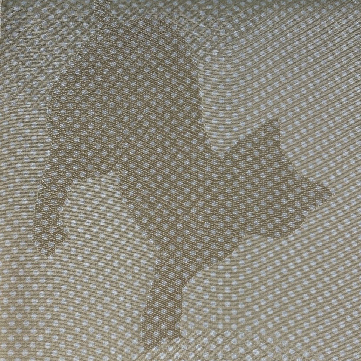 【美品】 小紋 身長162.5cm 袖長68.5cm L 雙層 大和 貓 點點 米色 純蠶絲 逸品級
