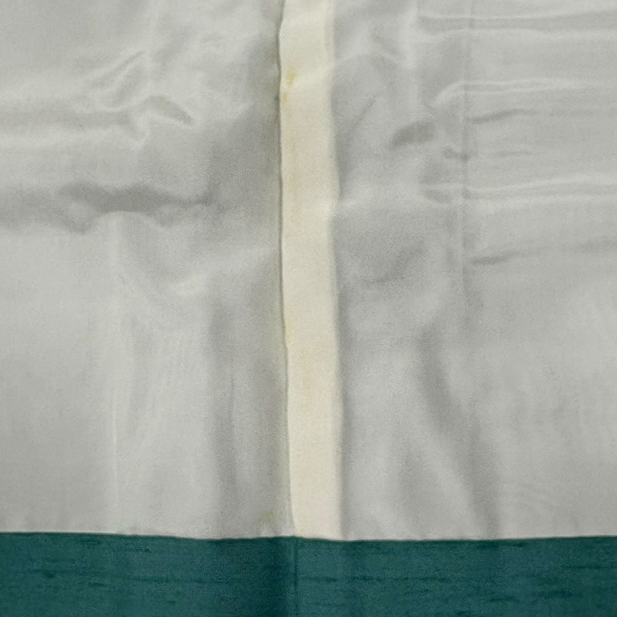 訪問服 身長157.5cm 袖長62.5cm S 雙層 紬織織 落款あり 枝花 菖蒲 漸層 綠 純蠶絲 秀品級