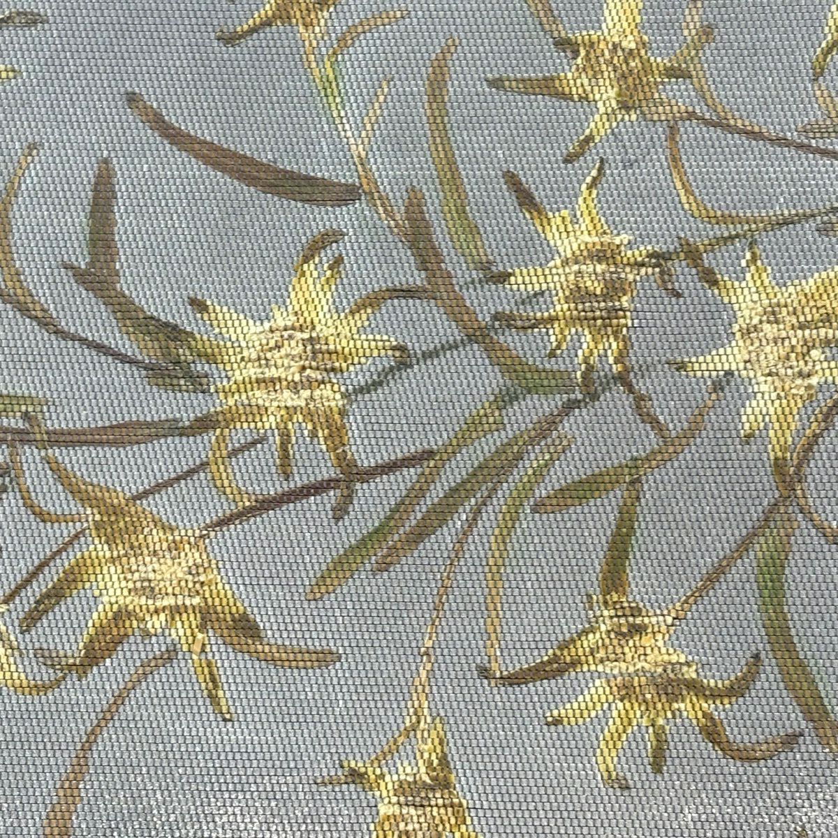 【美品】 名古屋帶 秀品級 花香織 草花紋紋 霞 金銀彩 紫 純蠶絲