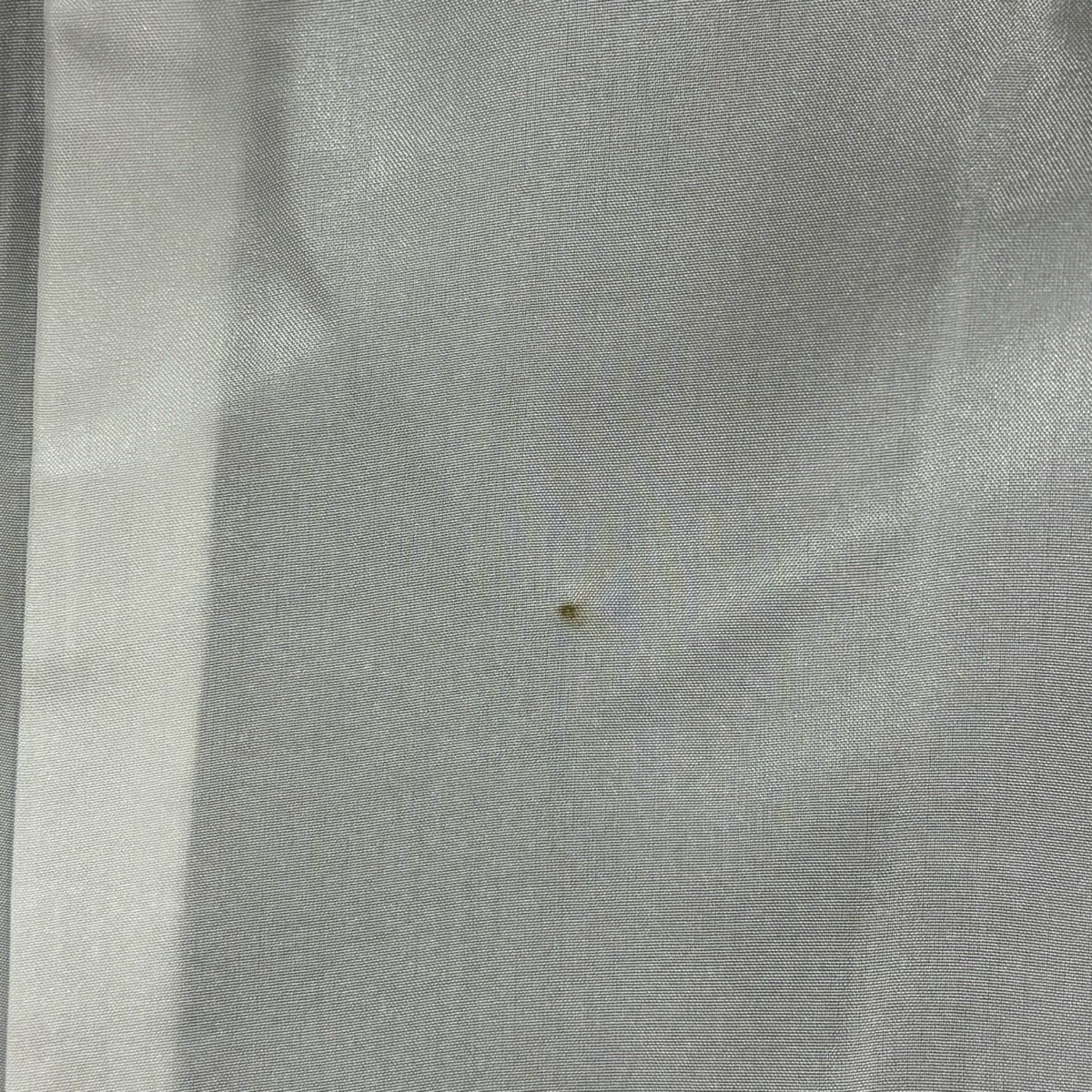 訪問服 身長155cm 袖長64cm M 雙層 辻花染 染分 ぼかし 深綠 純蠶絲 名品級