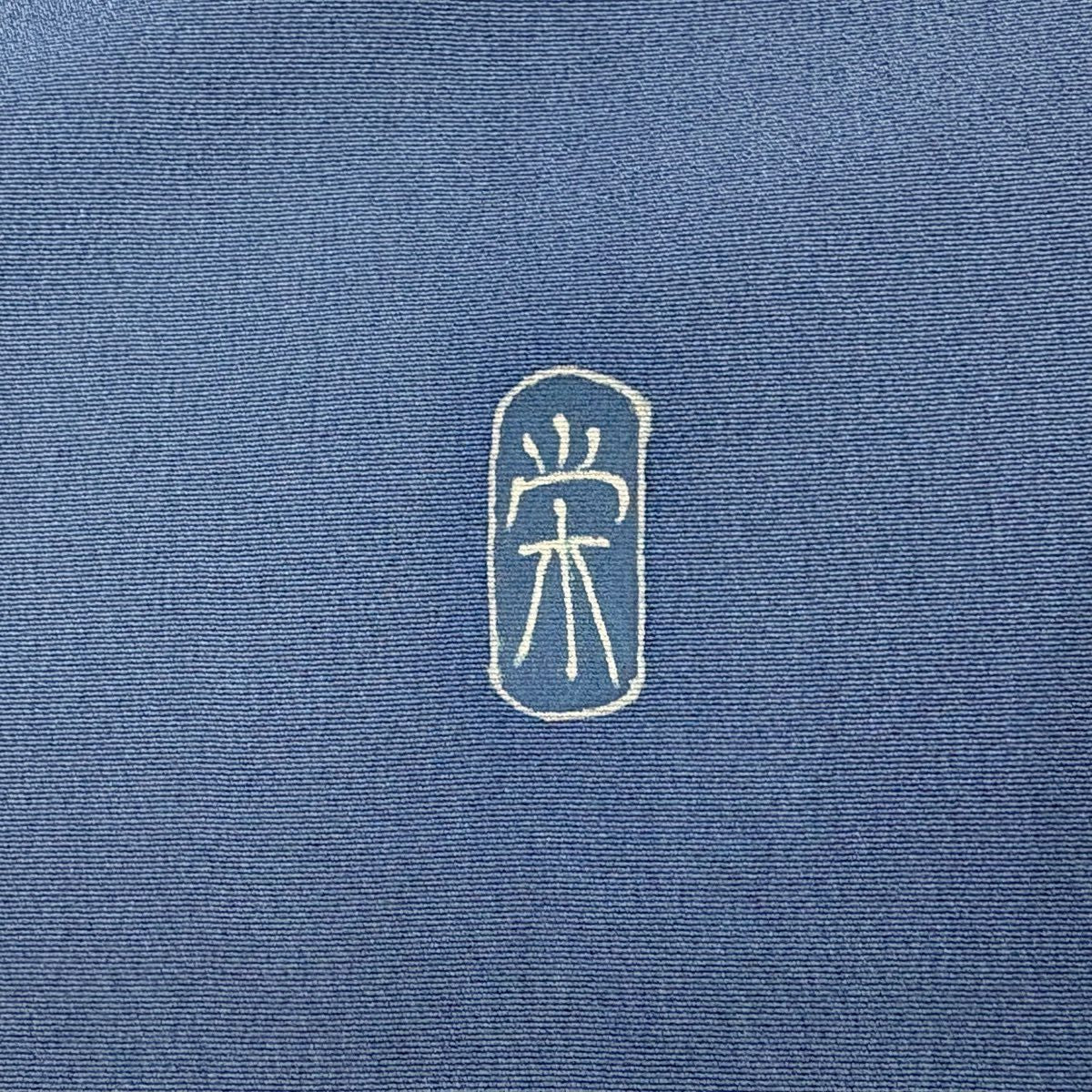 訪問服 身長161.5cm 袖長66cm M 雙層 落款 松樹 波 漸層 染分 青 純蠶絲 秀品級 一つ紋