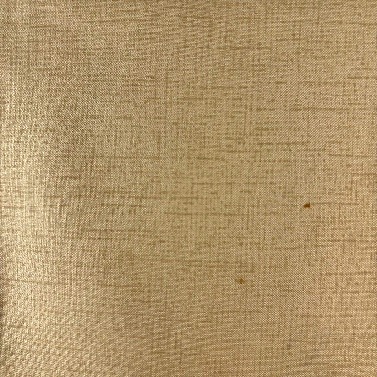 【美品】 付下 身長160cm 袖長66cm M 雙層 紬織織 袋帶套裝 落款有 狐狸 芝草 金銀彩 漸層 米色 純蠶絲 名品級