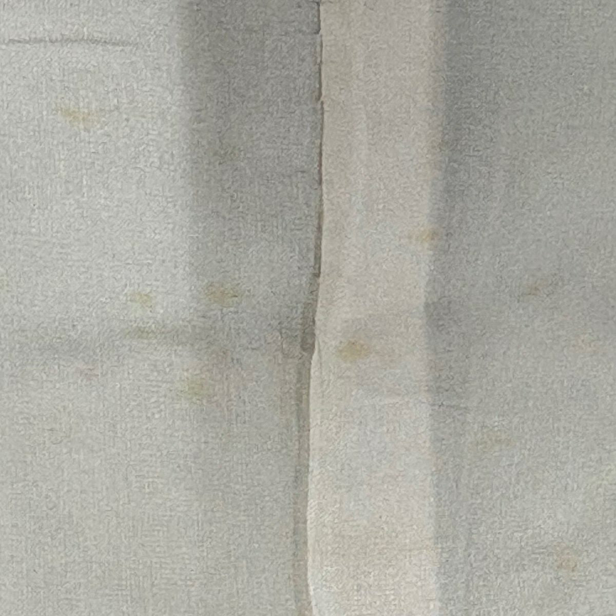 振袖禮服 身長157.5cm 袖長62cm S 雙層 鎌倉文 有職紋樣 金通 金銀彩 橙色 純蠶絲 秀品級
