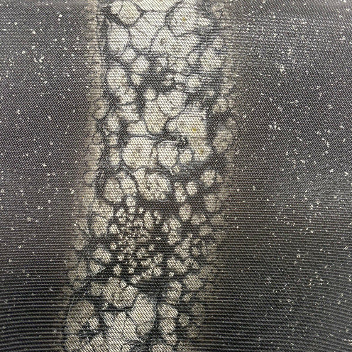 【美品】 袋帶 秀品級 落款あり 幾何學 生物 金金箔 銀銀彩 深紫 お太鼓柄 純蠶絲