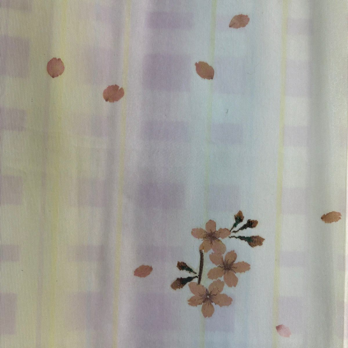 開口名古屋帶 優品級 有落款 櫻花 漸層 淺黃 純蠶絲
