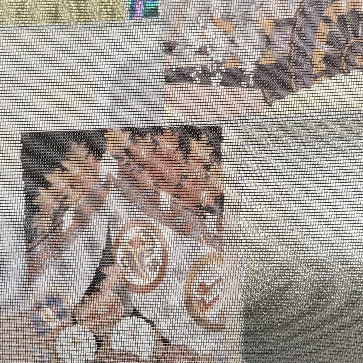 【美品】 袋帶 秀品級 色紙 花車 金金箔 銀 お太鼓圖案 純蠶絲