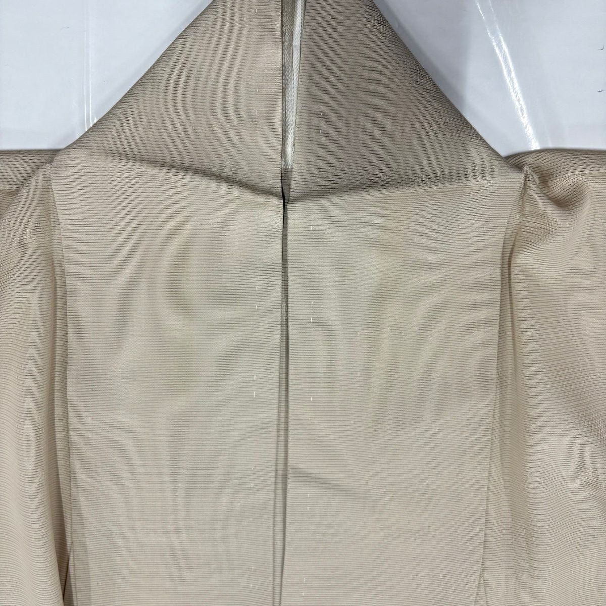 付下 身長166cm 袖長63.5cm S 薄物 絽 螳螂 葉子 銀線 刺繡 淺茶 純蠶絲 名品級 一個紋
