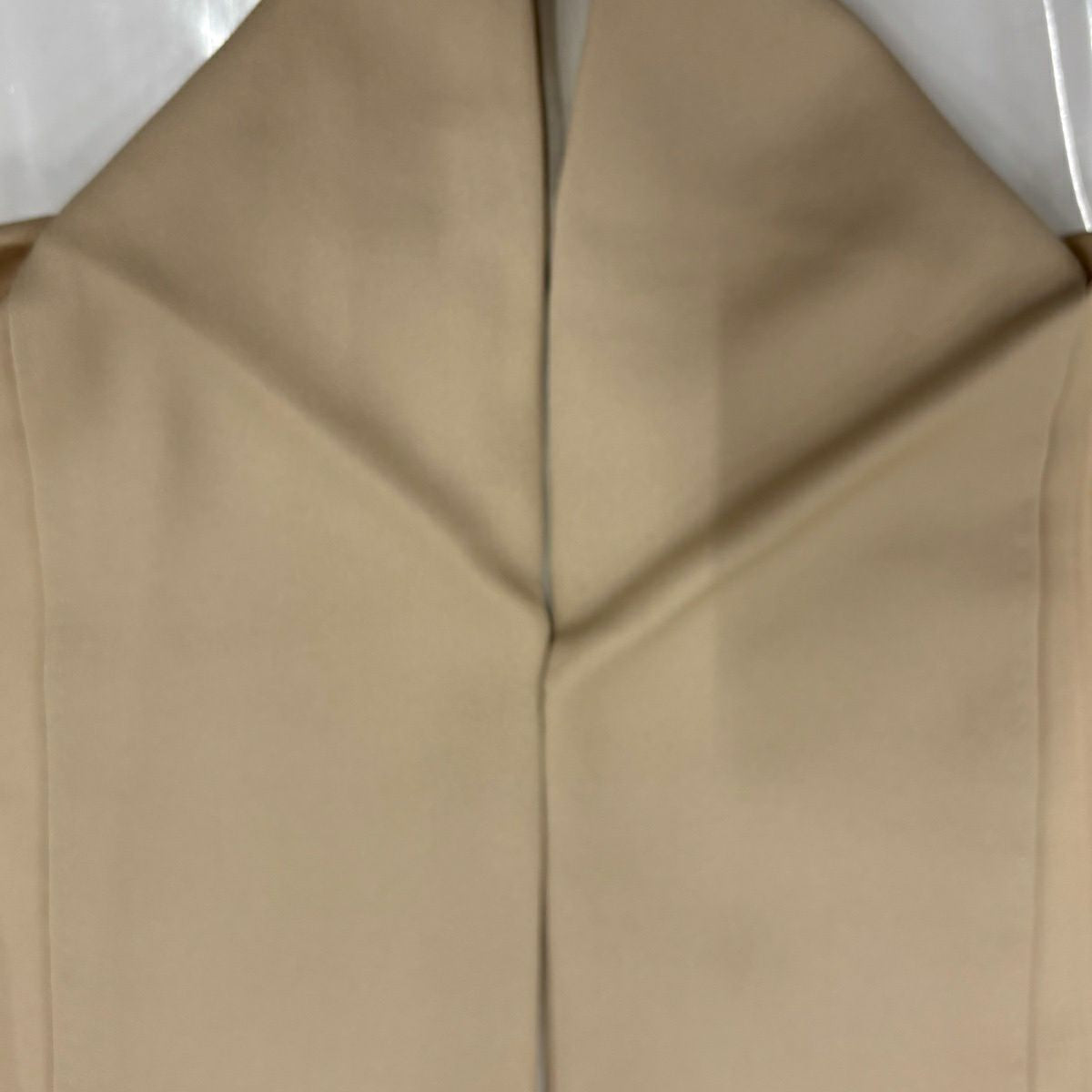 色留袖禮服 身長165.5cm 袖長65cm M 雙層 波頭 寶盡くし 金絲 金銀彩 米色 純蠶絲 優品級 一つ紋