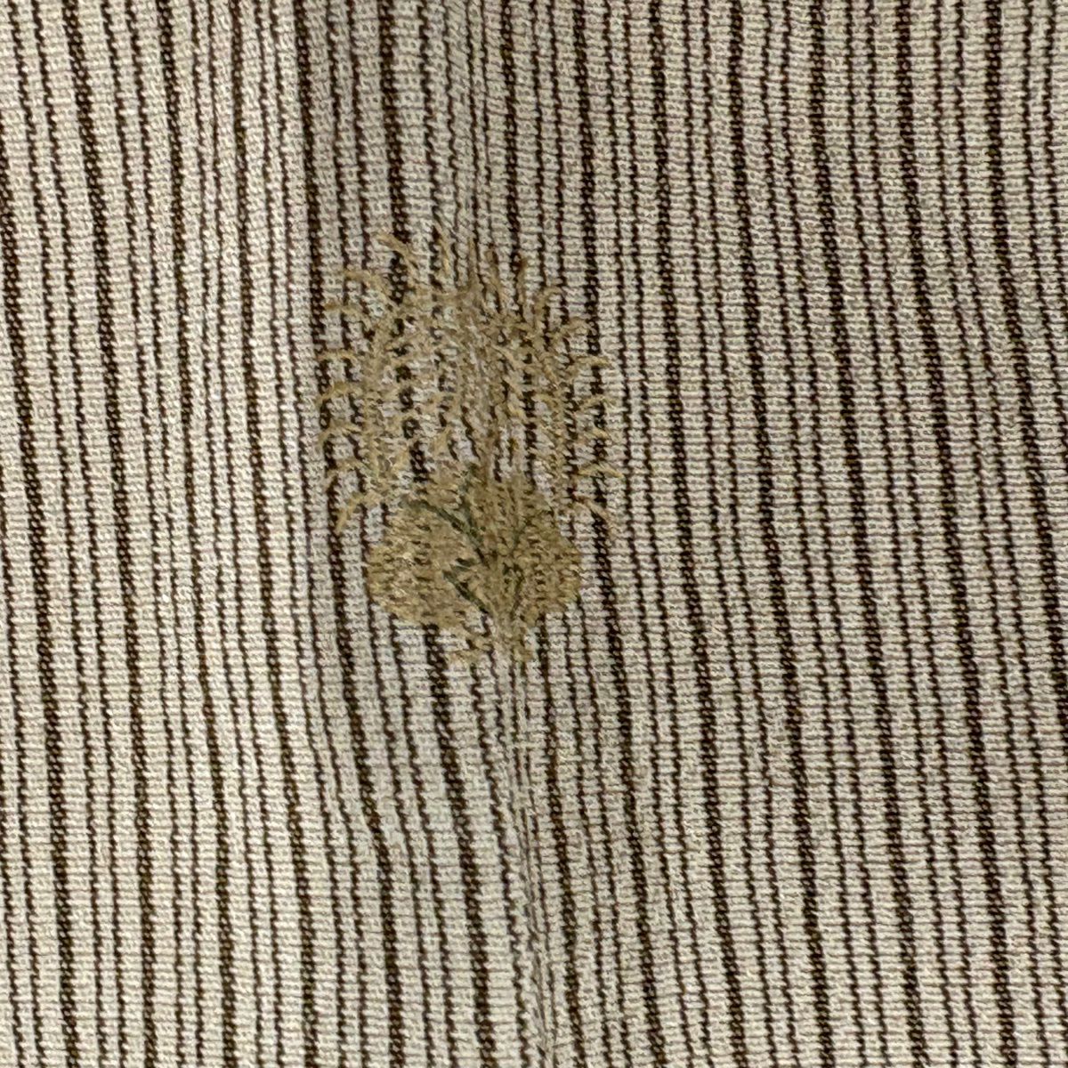 【美品】 付下 身長163.5cm 袖長63.5cm S 雙層 お召地 鈴乃屋 瓢箪 虫 金糸 米色 純蠶絲 秀品級 一つ紋